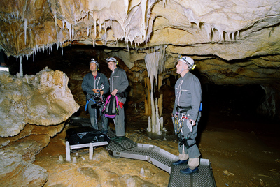 Imagen del documental  Cave of Forgotten Dreams,  de Werner Herzog, sobre la cueva de Chauvet-Pont-d'Arc.