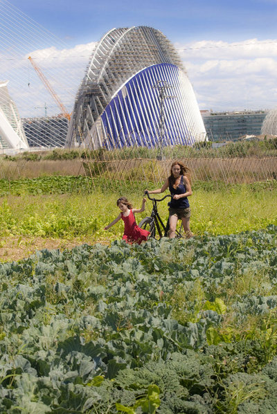 90 MILLONES PARA JUGAR AL TENIS