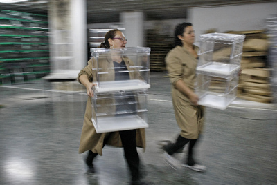 La carrera de las urnas