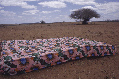 Plano de  Viajo porque preciso, volto porque te amo,   de Gomes y Aïnouz.  