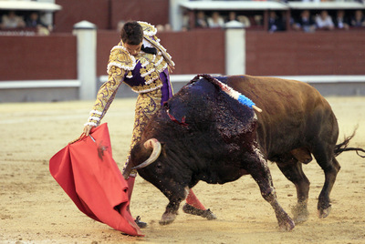 José María Manzanares, en el noveno festejo de la feria de San Isidro.