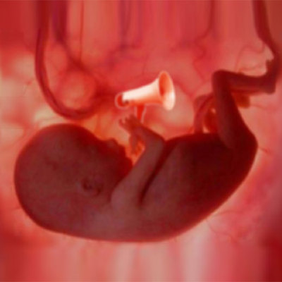 El megáfono de mano