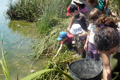 LOS NIÑOS, EN L'ALBUFERA