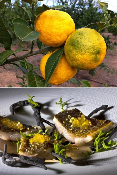 De arriba abajo, árbol de yuzu en Elche;  Trucha con falsos sarmientos, leche de coco, yuzu fresco y alga de tierra  ,  de Rodrigo de la Calle.