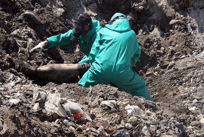 Dos hombres desentierran uno de los ocho cadáveres que, según el régimen, yacían en 
