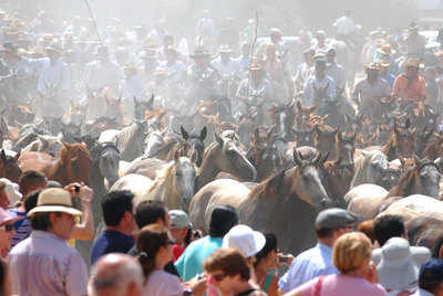 Almonte cumple con la 'saca de las yeguas'