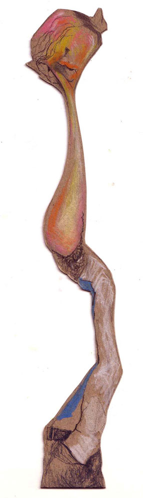 Química y política: una mezcla mágica