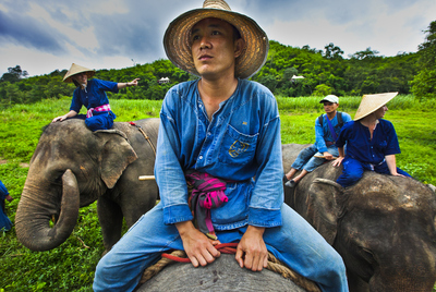 Turistas  mahouts , en Chiang Rai (Tailandia)