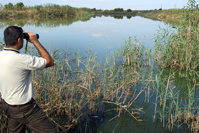 Una vista de Las Lagunas del Monte de Pilar de la Horadada.