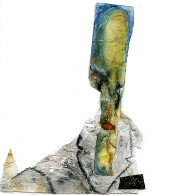 Presidente al desnudo