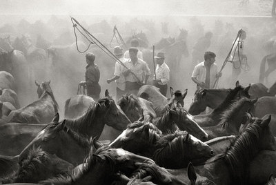  El curro de Mougás , 1981.