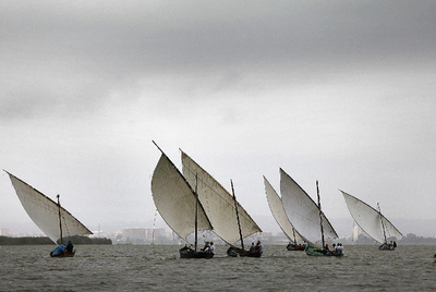 Las velas latinas recortan el horizonte de L'Albufera