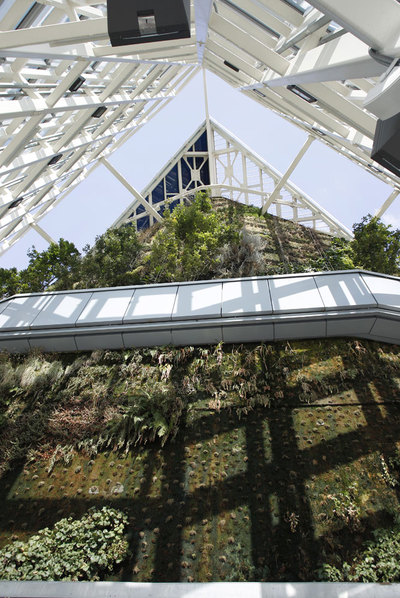 Cúpula de la Torre de Cristal.