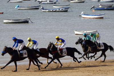 Los purasangre se citan en las carreras de Sanlúcar