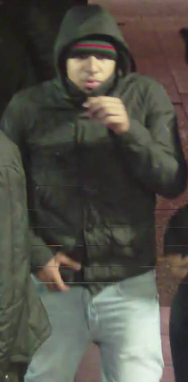 FOTOGALERIA: Wood Green