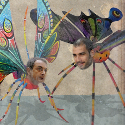 El 'Zapaterdiola lepidoptera'