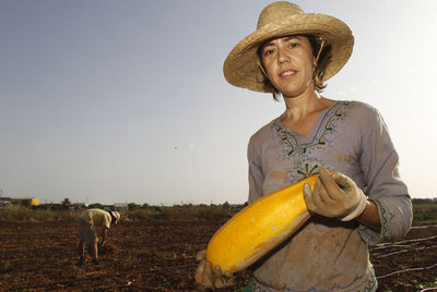 La batalla por que verduras y frutas vuelvan a ser sabrosas