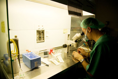 Las instalaciones de un centro de reproducción asistida.