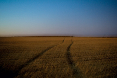 FOTOGALERIA: Castilla-La Mancha, Villatobas (Toledo), 2009