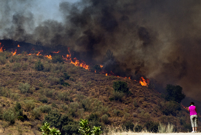 Un incendio obliga a desalojar siete cortijos en los Montes de Málaga