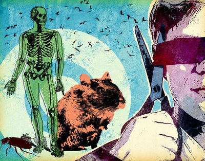 ¿Quién dijo miedo?