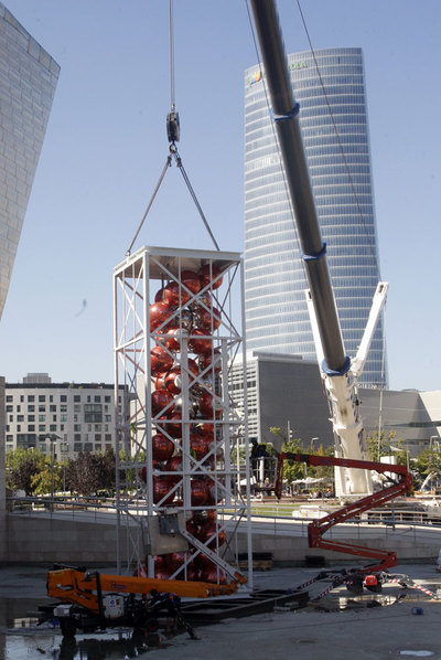 DISPUESTA PARA SU TRATAMIENTO