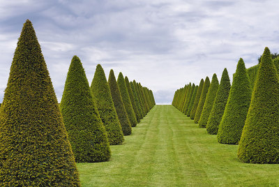 Puntiagudas, versallescas simetrías