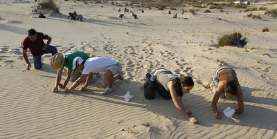 A la caza de los perdigones en las dunas de Doñana