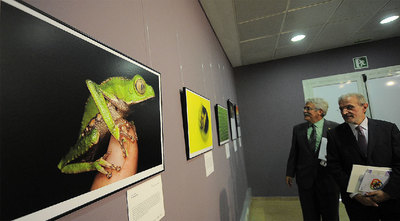 La belleza de la ciencia, la investigación hecha arte