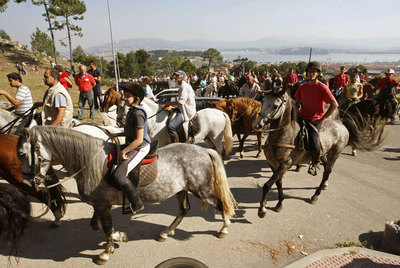 250 caballos 'se manifiestan' contra el microchip de Medio Rural
