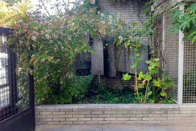 Aspecto actual de la escultura de J. L. Sánchez en el Hospital Gregorio Marañón.