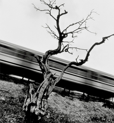 FOTOGALERIA: Sin título