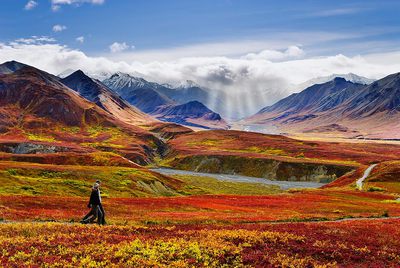 Verano indio en la salvaje Alaska