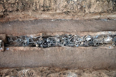 Se lee como una novela