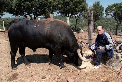 Antonio Chenel  Antoñete , en su finca  Las laderas,  en la localidad madrileña de Navalagamella, en 2001.