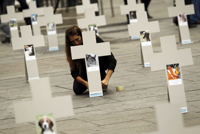 Día de muertos... y de perros
