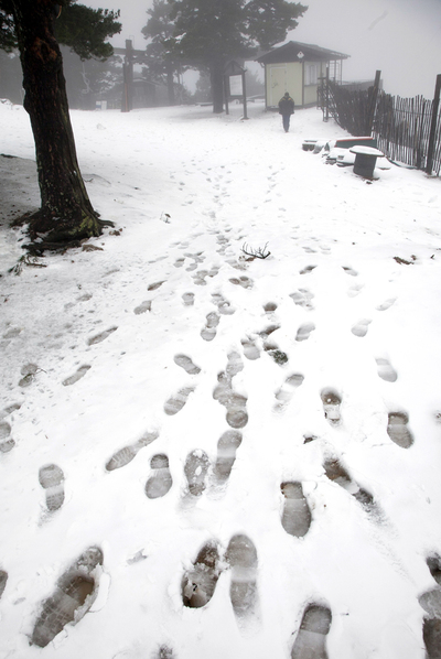 La nieve se abre paso en Navacerrada