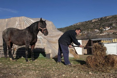 Eduardo San José, agricultor de 43 años, da de comer a su caballo Zafiro en Villanueva de la Torre.