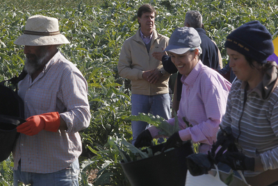 Cayetano Martínez de Irujo, al fondo, durante su visita a las cooperativas de Marinaleda.