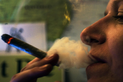 Los clientes piden la  maría  más fuerte, no la leve, tradicionalmente de importación. Holanda exporta su  hierba. 