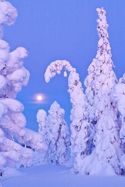 El leve peso de la nieve