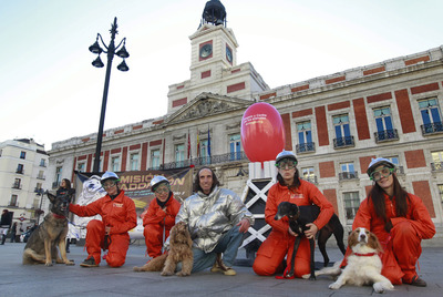 Un cohete por el respeto sideral a los animales