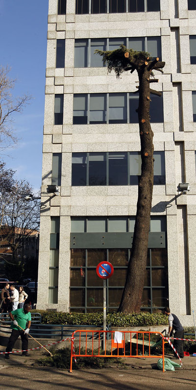 La Castellana pierde a su 'abuelo'