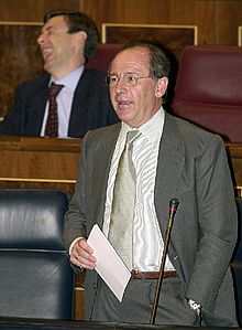 Rato asegura en el Congreso que su patrimonio está libre de sospecha