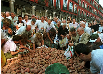 El precio de las patatas en el Mercado Central de Madrid aumentó un 33,3% en un año
