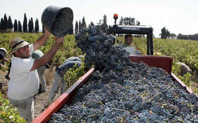La UE propone mantener durante tres años las ayudas al alcohol para el brandy y los licores