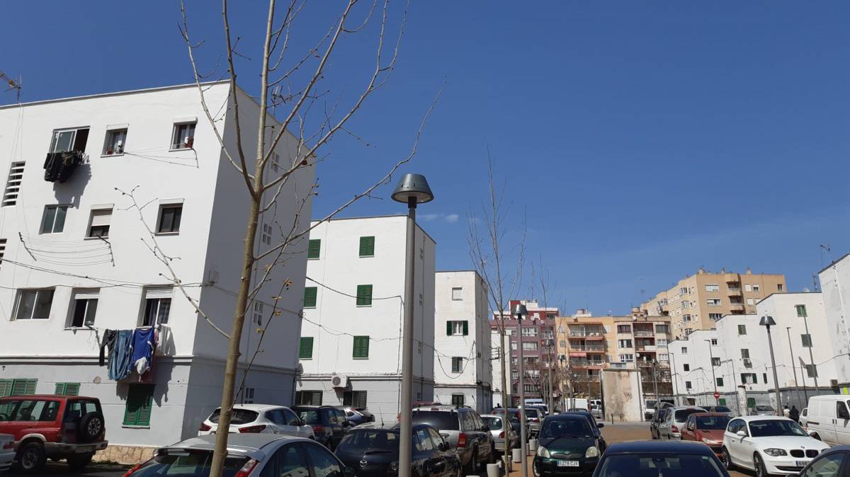 Viviendas en Camp Redó (Palma).