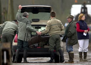 Detectados un segundo foco de fiebre aftosa en Francia y el cuarto en  Holanda