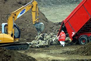 España dejará de vender 1.200 toneladas de carne por el bloqueo ruso a las exportaciones de la UE