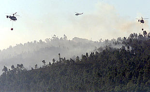 Los servicios de extinción detienen el incendio de Minas de Riotinto